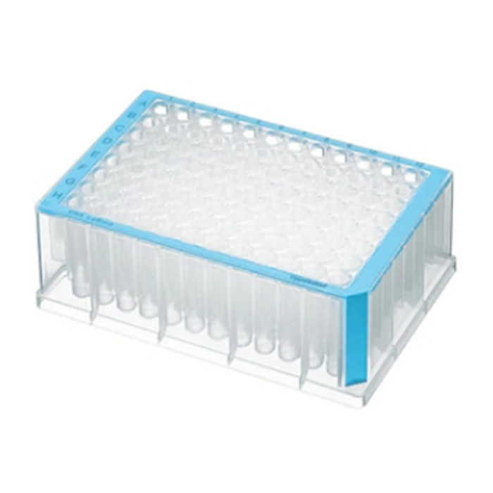 96孔深孔板 1000ul 孔透明 PCR洁净级 蓝色边 聚丙烯|96孔|Eppendorf/艾本德