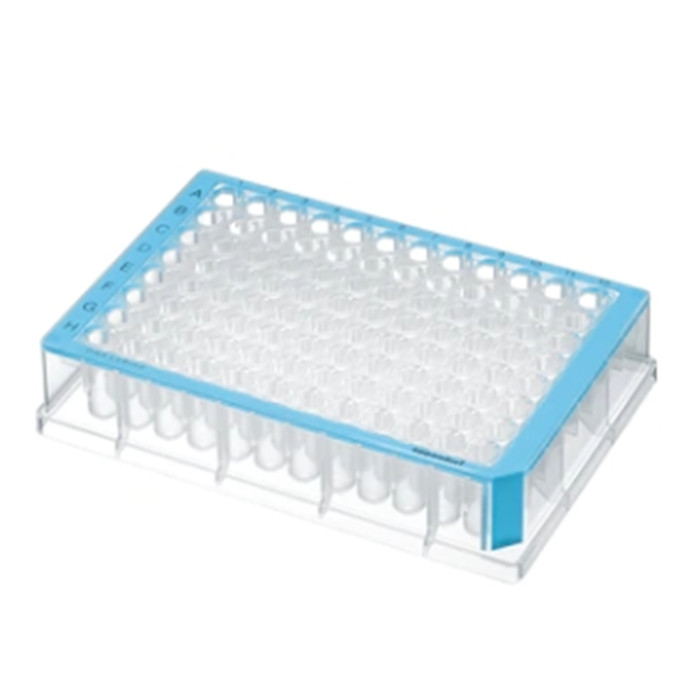 96孔深孔板 500ul 孔透明 DNA低吸附 PCR洁净级 蓝色边|96孔|Eppendorf/艾本德